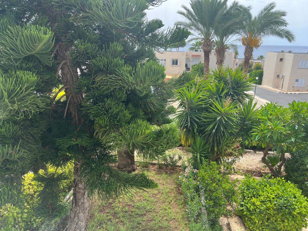 Modern Seaview Townhouse In Coral Bay (Adults Only) Apartment Peyia Luaran gambar