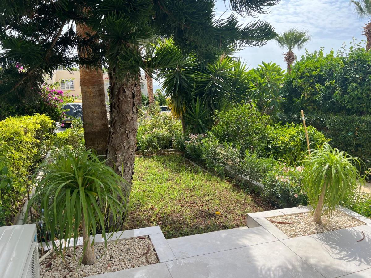 Modern Seaview Townhouse In Coral Bay (Adults Only) Apartment Peyia Luaran gambar