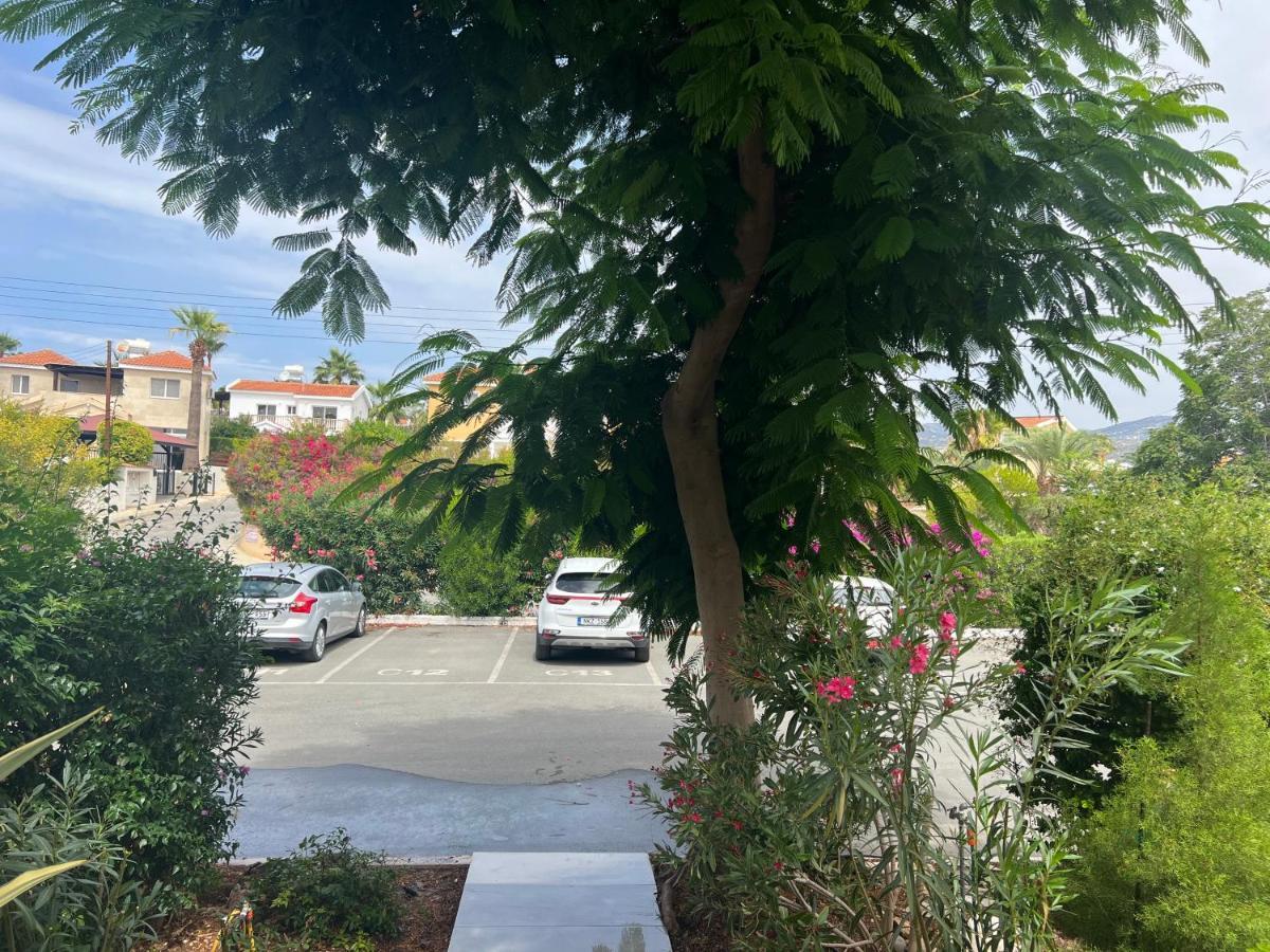 Modern Seaview Townhouse In Coral Bay (Adults Only) Apartment Peyia Luaran gambar