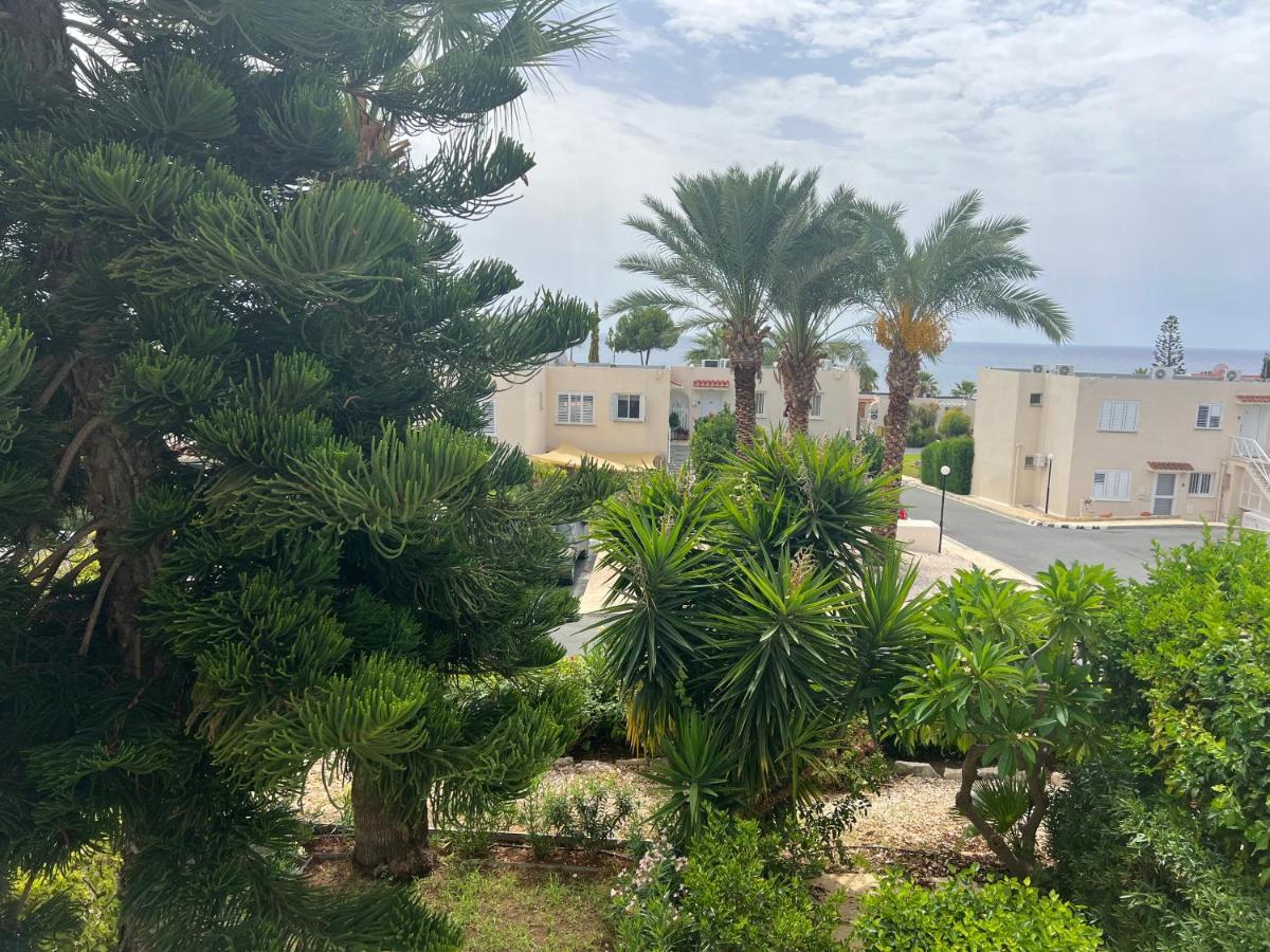 Modern Seaview Townhouse In Coral Bay (Adults Only) Apartment Peyia Luaran gambar