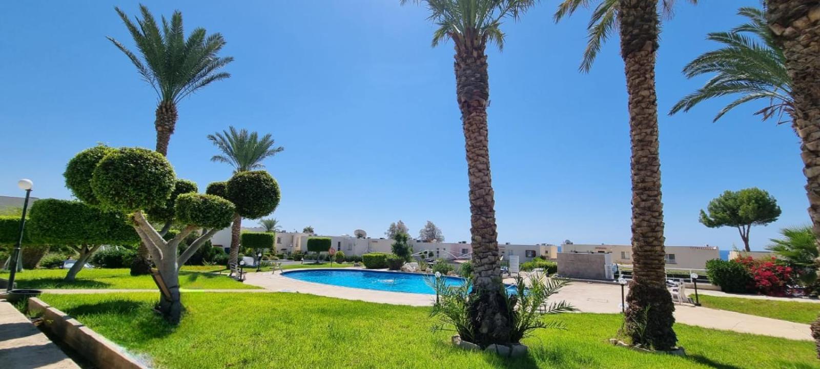 Modern Seaview Townhouse In Coral Bay (Adults Only) Apartment Peyia Luaran gambar