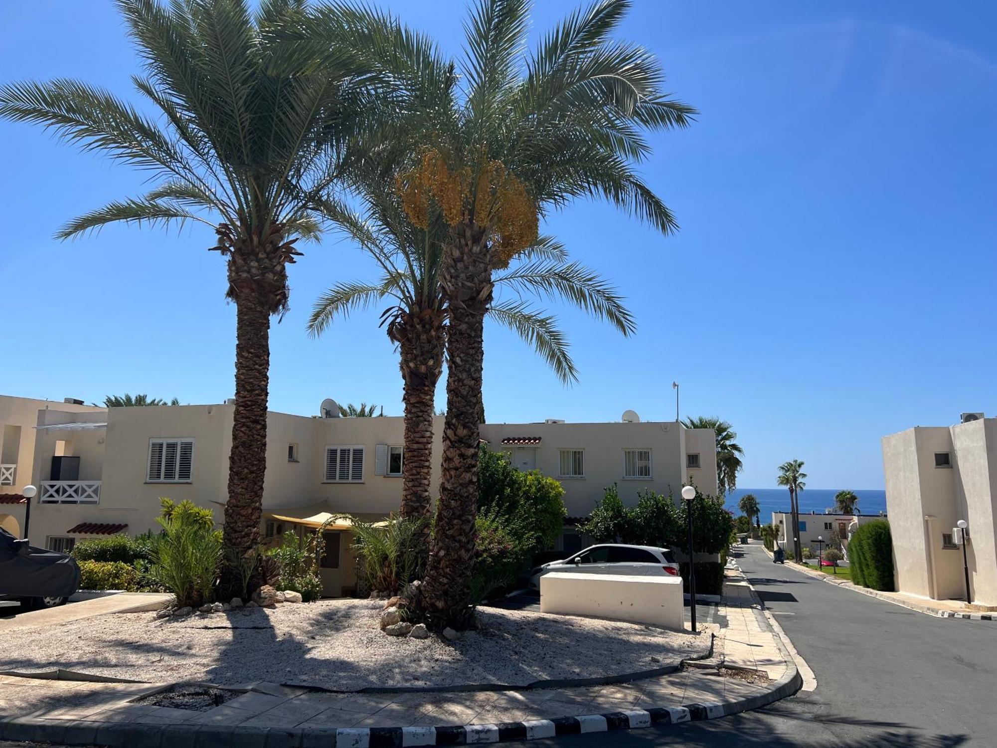 Modern Seaview Townhouse In Coral Bay (Adults Only) Apartment Peyia Luaran gambar