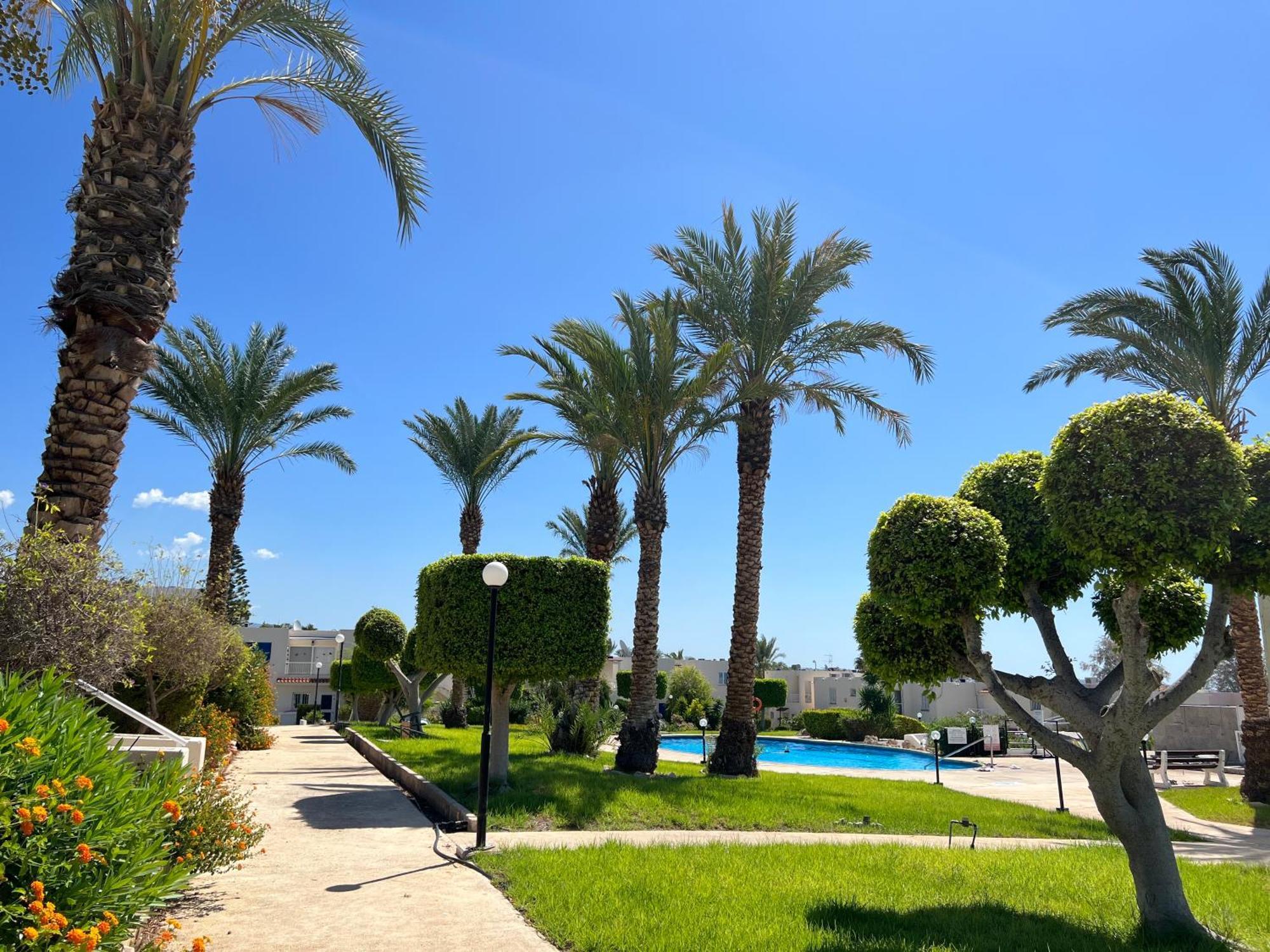 Modern Seaview Townhouse In Coral Bay (Adults Only) Apartment Peyia Luaran gambar